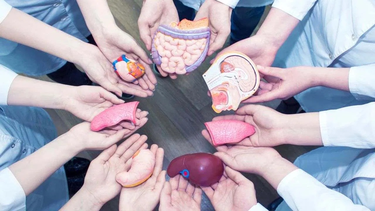 અંગદાન અને ટ્રાન્સપ્લાન્ટ માટે ગુજરાતને મળશે ત્રણ એવોર્ડ